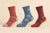 Vivid stripes (Pack of 3 pairs)