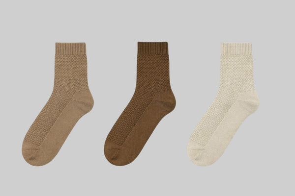 Winter spectrum - Pack of 3